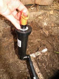 one of our Bowie irrigation repair specialists is installing a brand new pop-up head